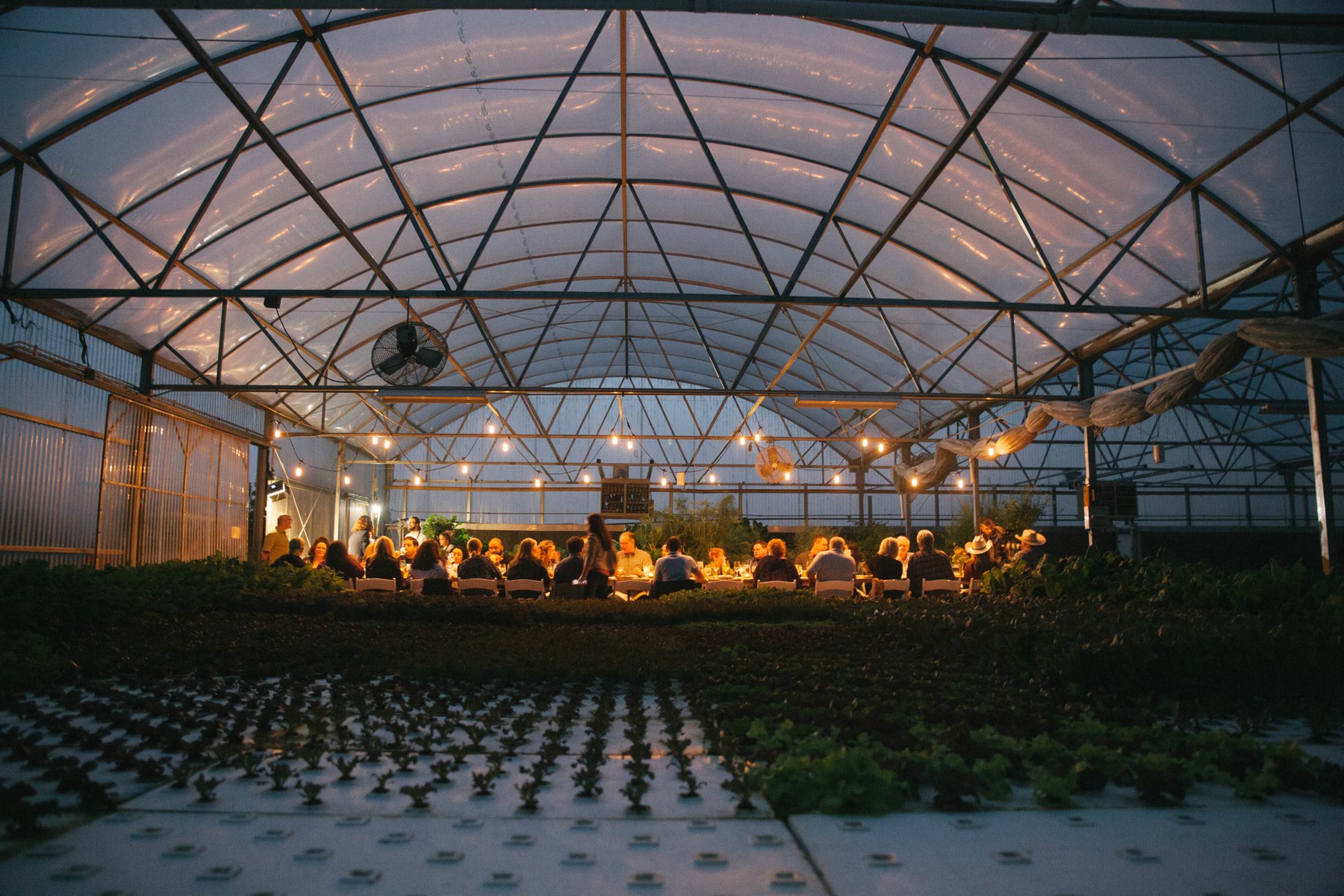 The Greenhouse Dinner